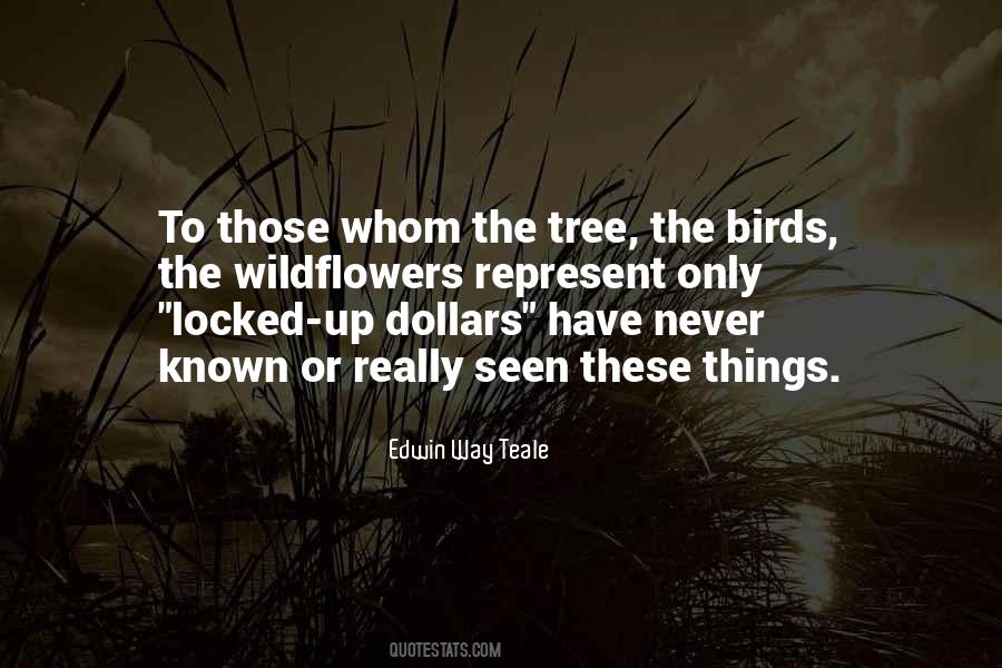 Orca Conservation Quotes #202107