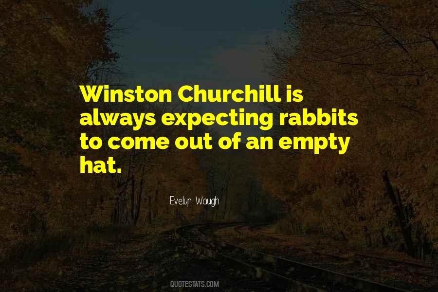 Idyllically Perfect Quotes #768411