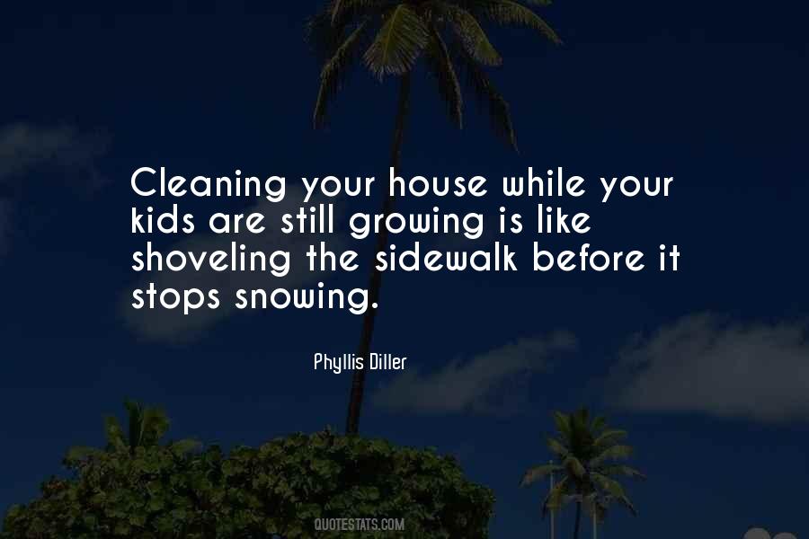Cleaning Your House Quotes #1760500