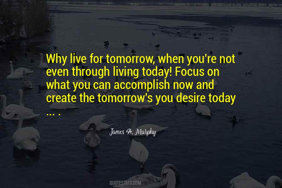 Whirlwinds Yorkies Quotes #1058740