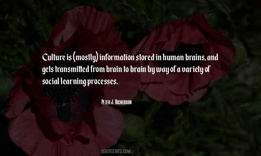 Pomul Copt Quotes #407451