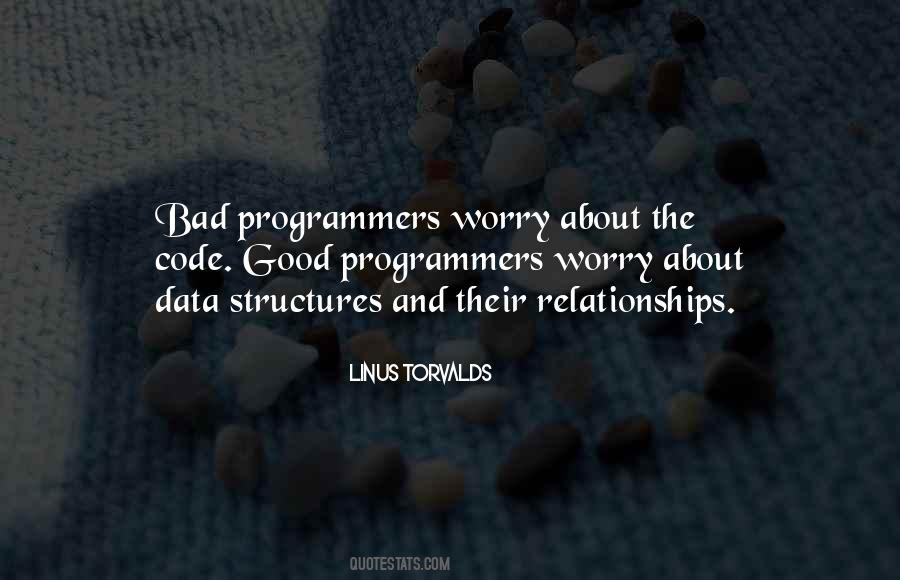 Quotes About The Programmers #562276