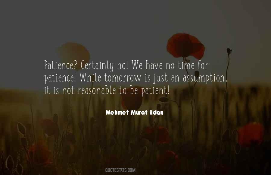 Time Patience Quotes #247921