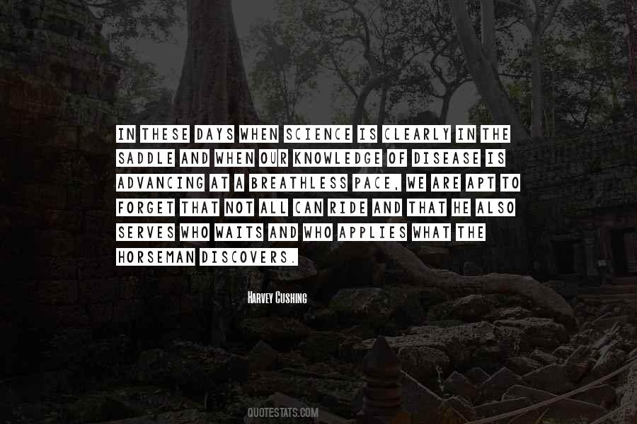 Mikacich Judith Quotes #1467816
