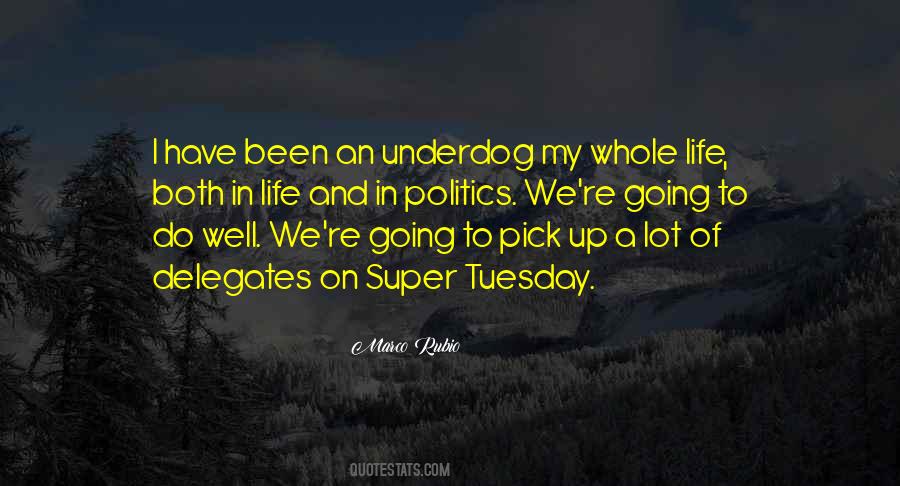 On Life And Politics Quotes #529688