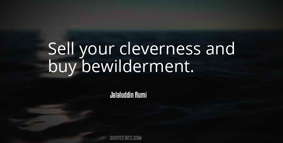 Cleverness And Wisdom Quotes #1621359