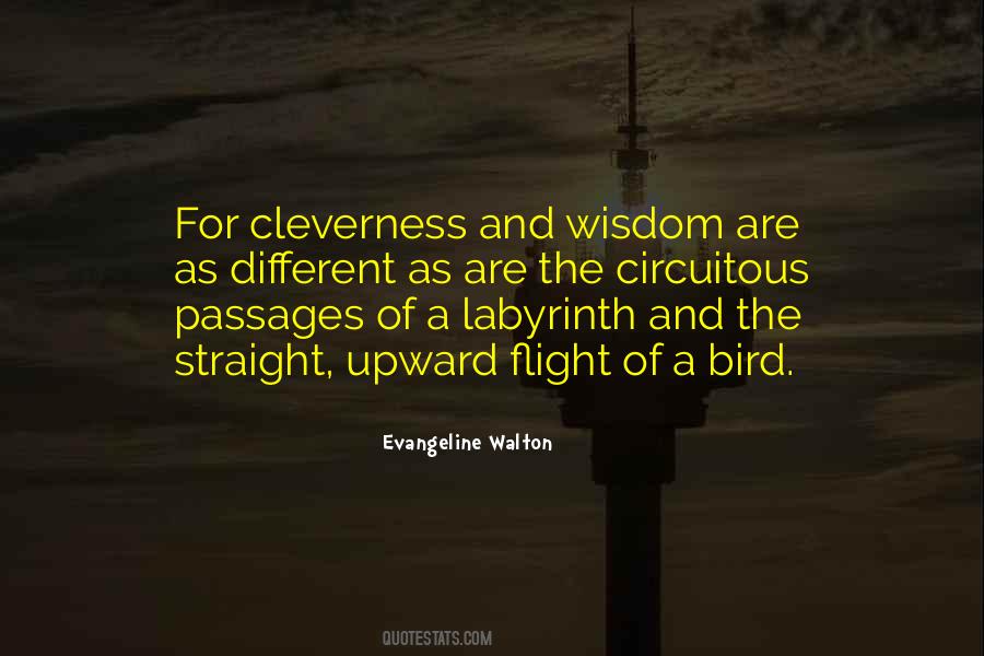 Cleverness Is Not Wisdom Quotes #779669