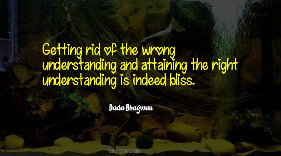 Understanding The Meaning Of Quotes #1847836