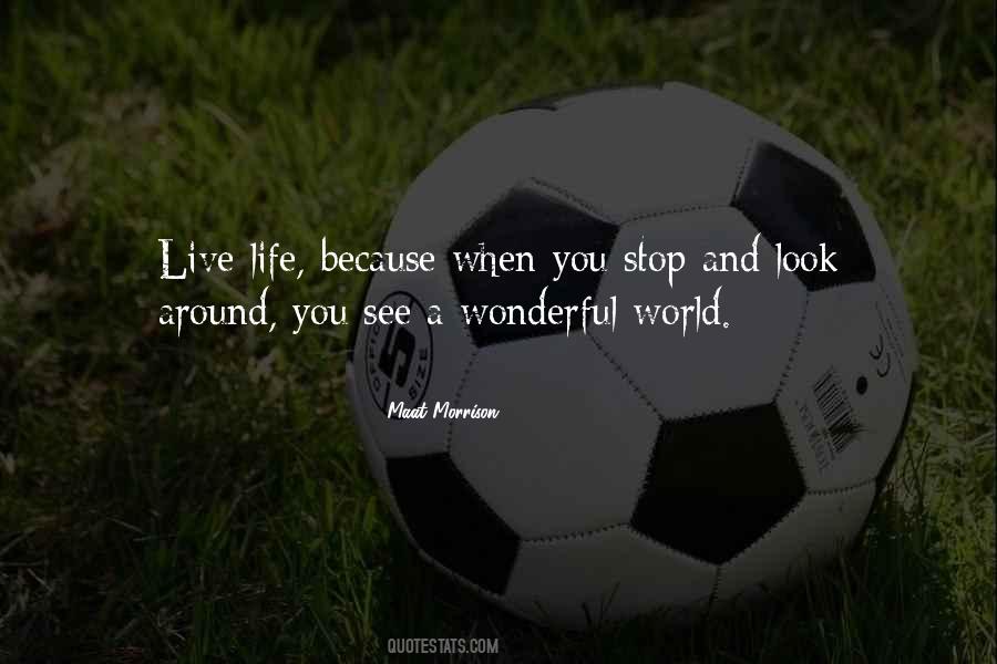 To Live A Wonderful Life Quotes #542054