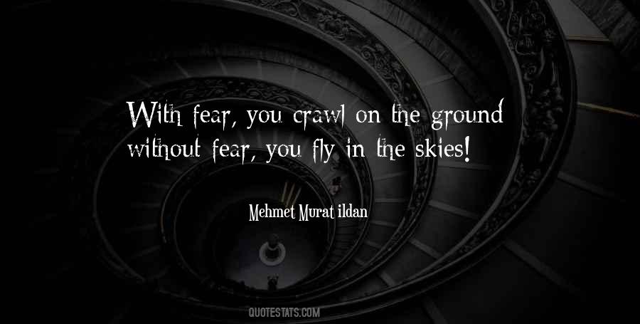 Fearless Fly Quotes #1464100