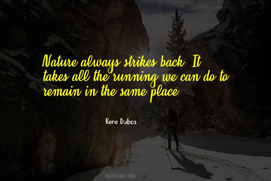 Selvon Seebran Quotes #1392573