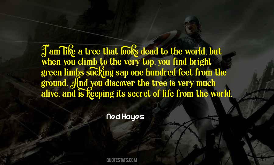 Climb Up A Tree Quotes #1523552