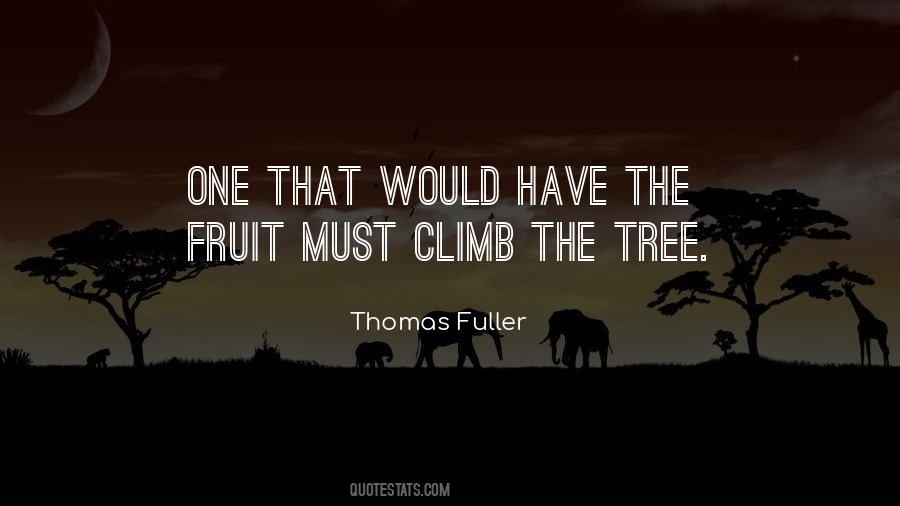 Climb Up A Tree Quotes #398707