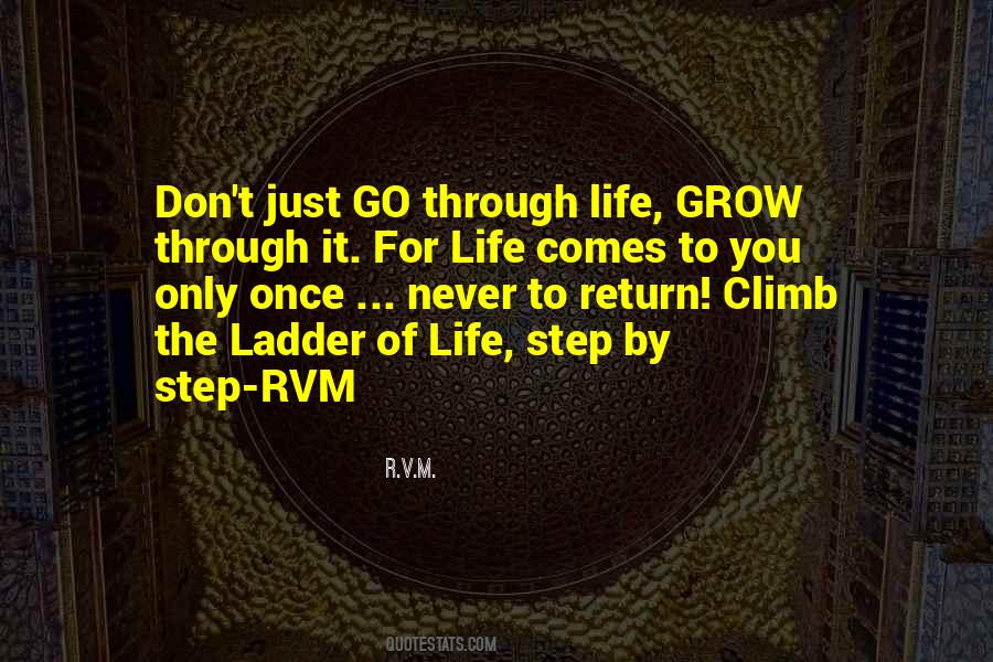 Climb Up The Ladder Quotes #645971