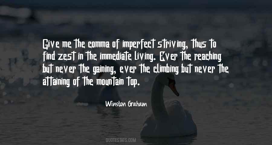 Climbing To The Top Of The Mountain Quotes #1108470