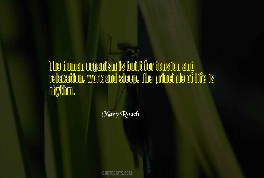 Rettangolo Dressage Quotes #780380