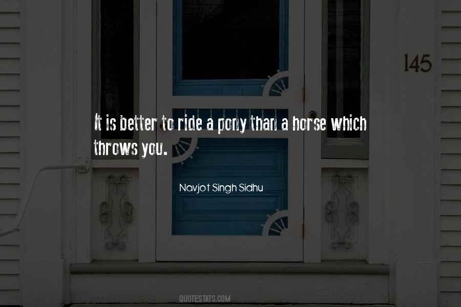 Yokoi Vinegar Quotes #177635