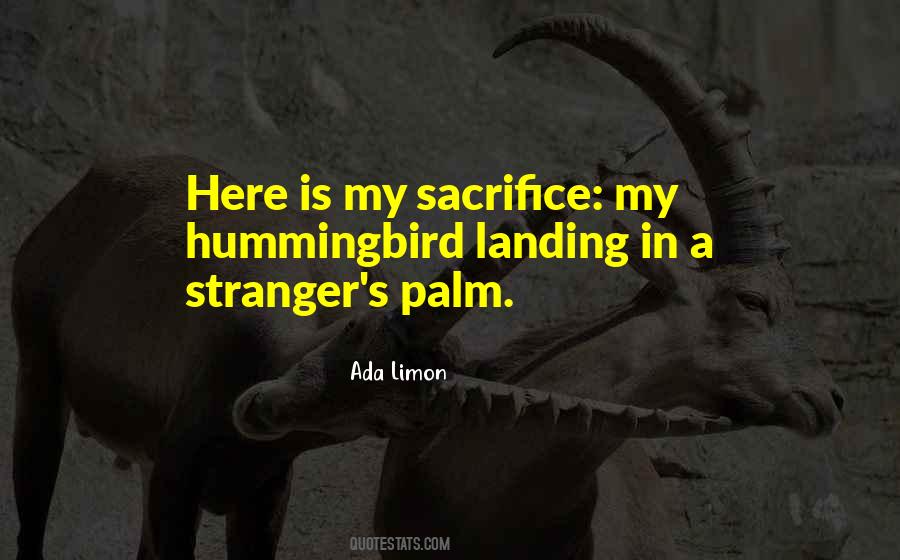 Morocho Dogo Quotes #806269