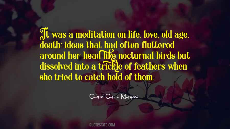 Life Gabriel Garcia Marquez Quotes #1307082