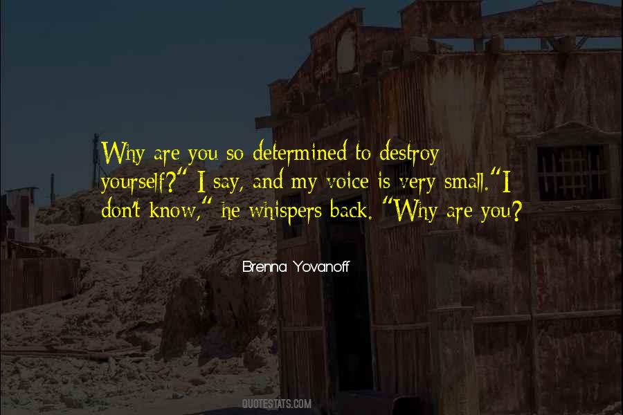 Brightest Flashlights Quotes #1232477