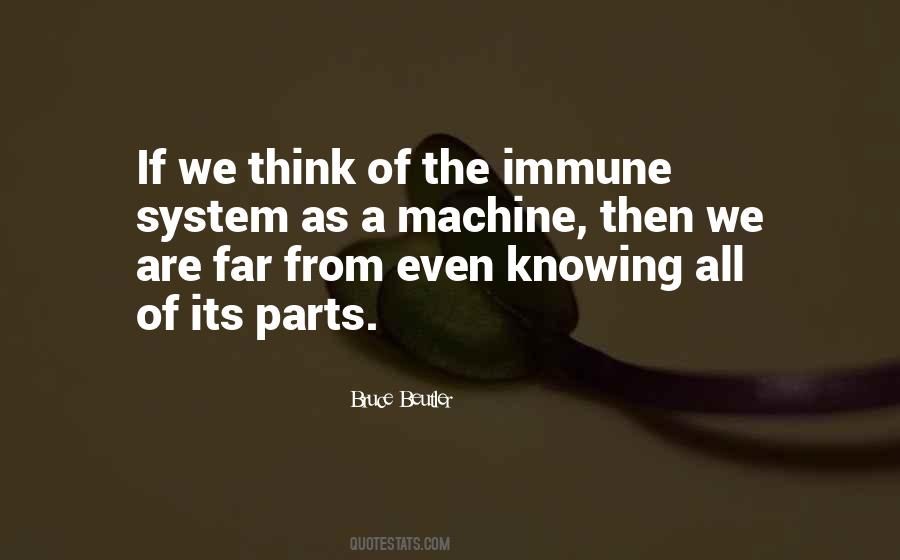 Harari Wedding Quotes #1536562