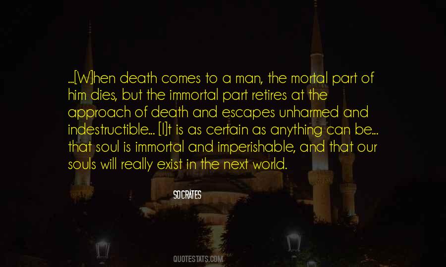 Mortal Immortal Quotes #380080