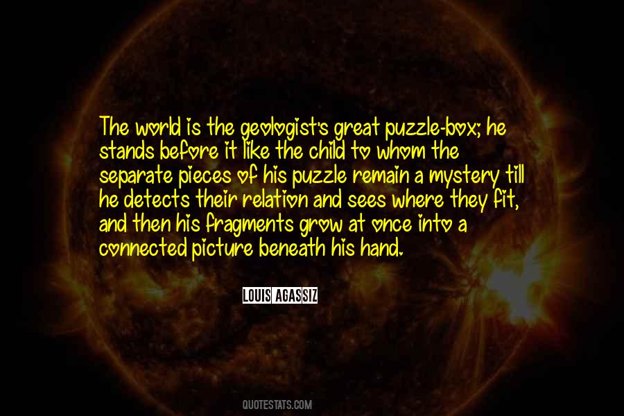 Fit Into The World Quotes #727448