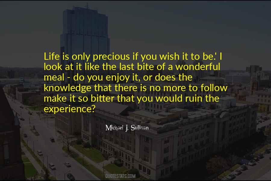 Life Of Ruin Quotes #400031