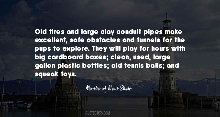 Play With Toys Quotes #270491