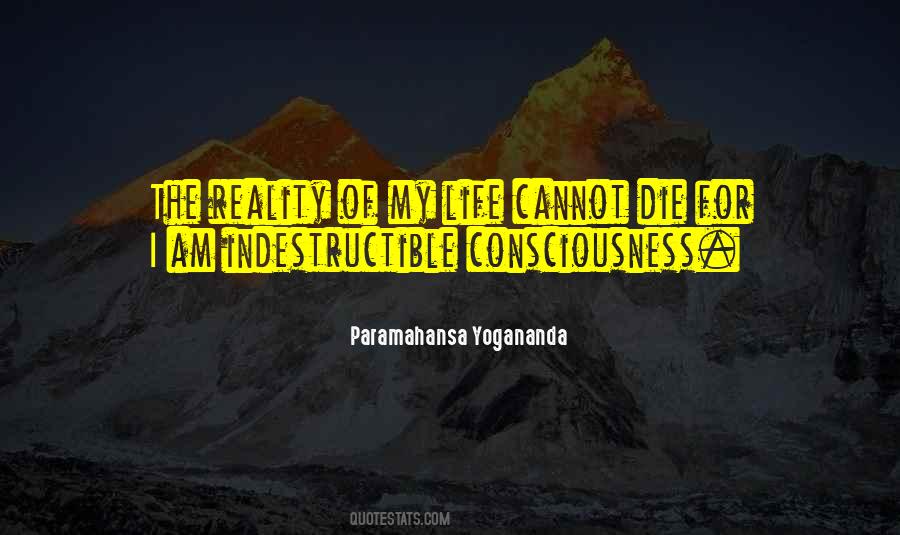 Husking Board Quotes #540023