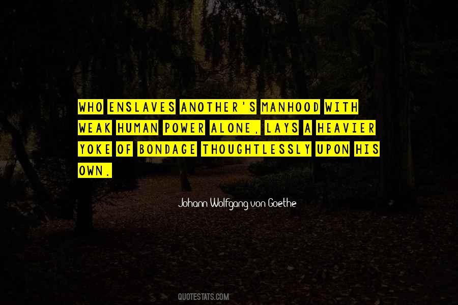Darioush Cabernet Quotes #1463513