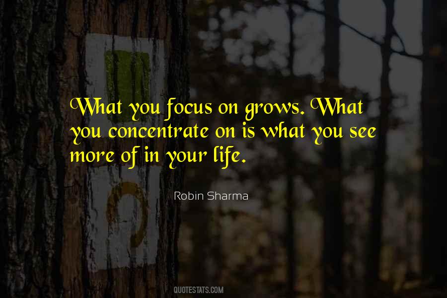 What You Focus On Quotes #588179