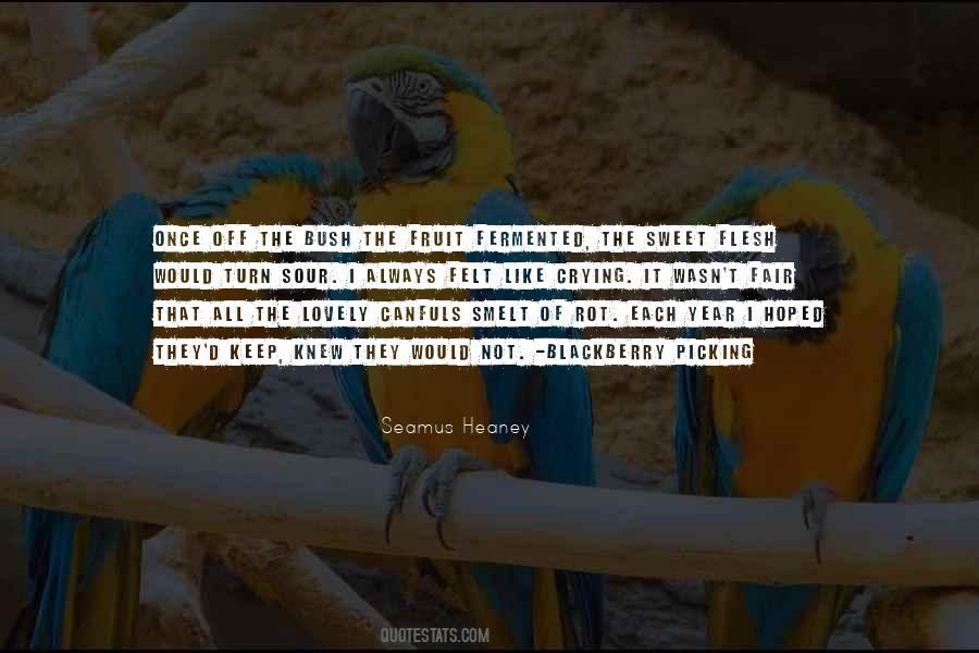 Kaydara Dragon Quotes #1316700