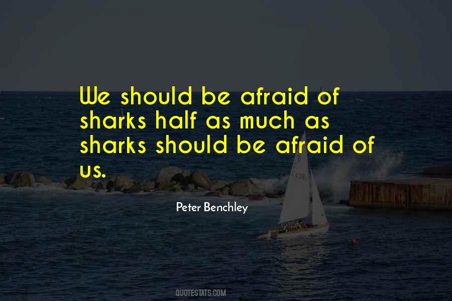 Madjid Niroumand Quotes #1199475