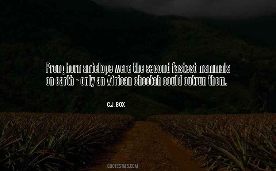 Gharsallah Pour Quotes #799087