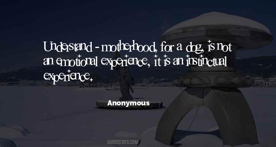 Whiskeys Or Whiskies Quotes #1164159