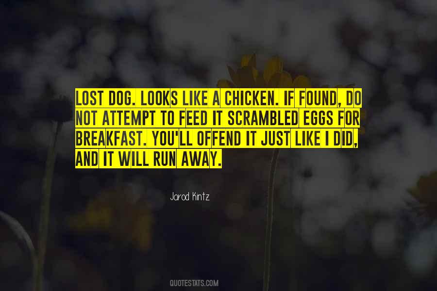 Lost Dog Quotes #1317494