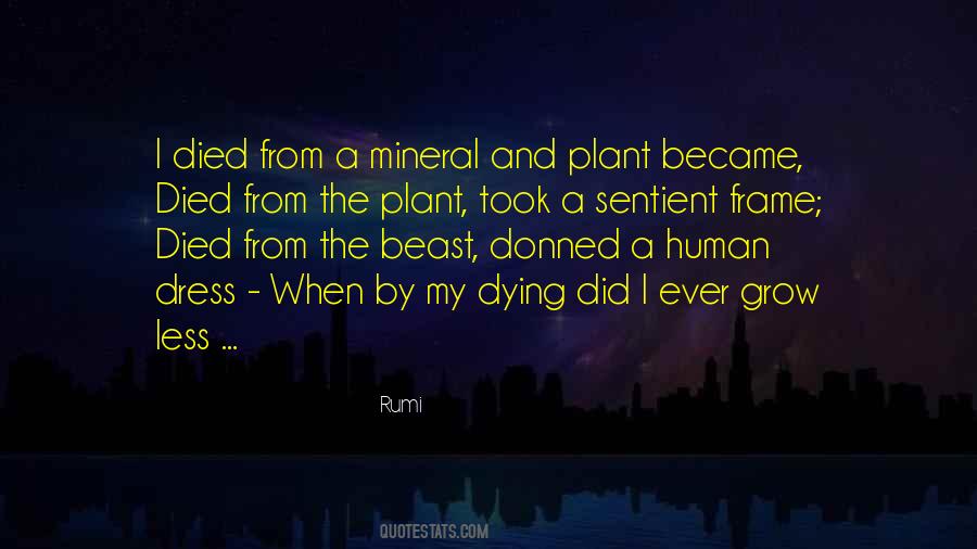 My Spirituality Quotes #474146