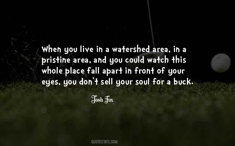 Mezzanotte Charlotte Quotes #661515