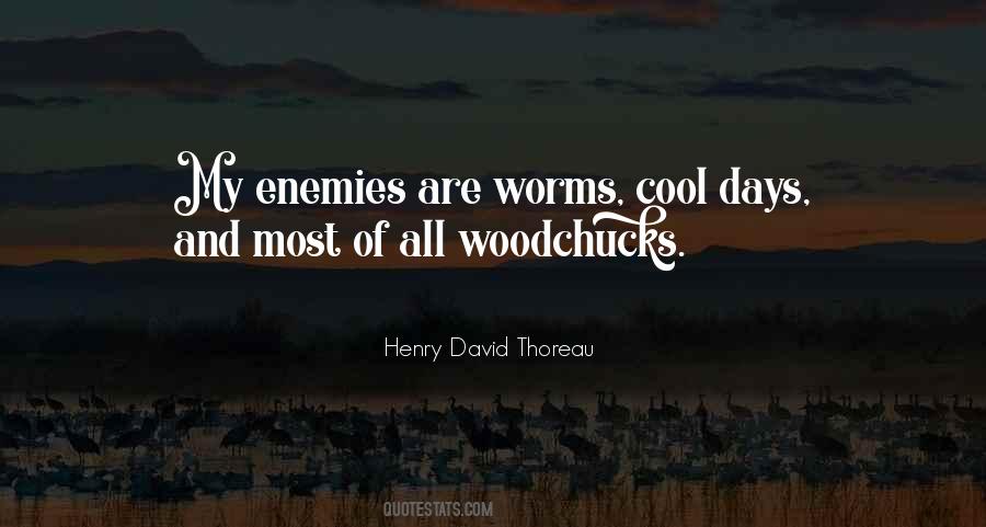 Henry Thoreau Walden Quotes #42779
