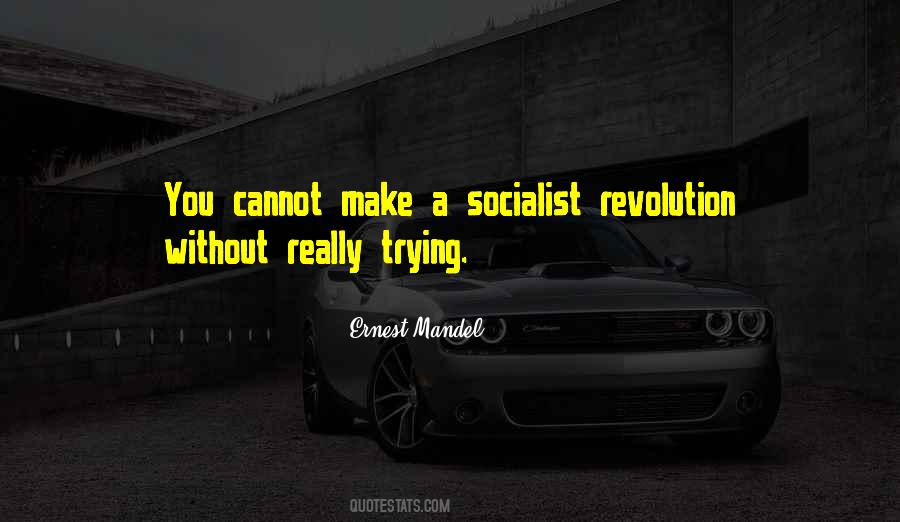 Socialist Revolution Quotes #1865045