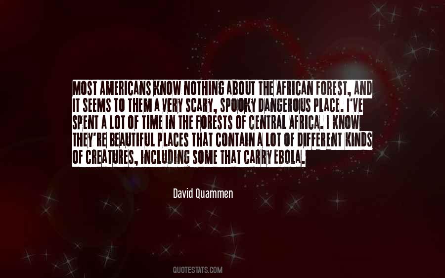 Beautiful Africa Quotes #1163347