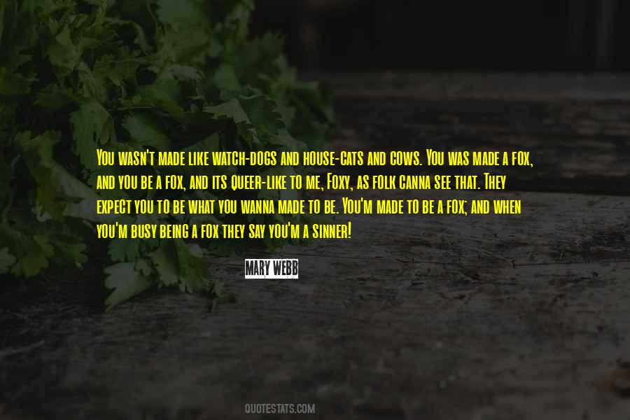 Envueltos Beef Quotes #237287