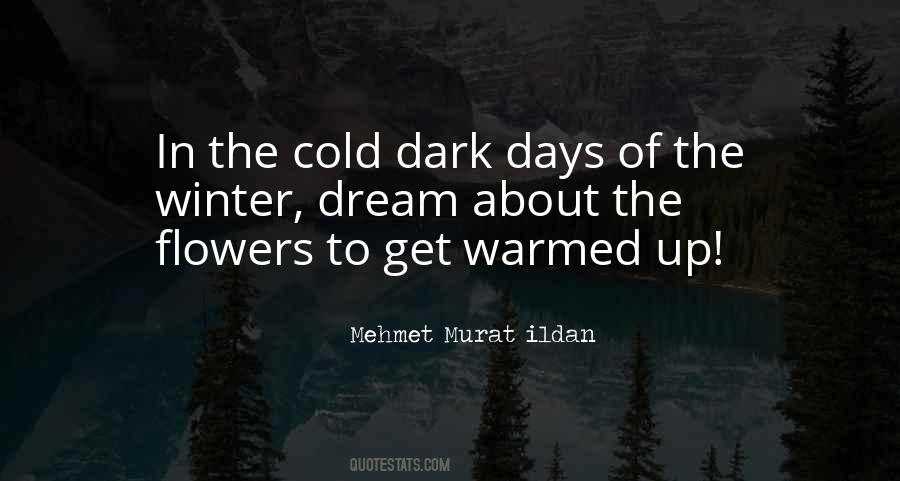 Cold Dark Winter Quotes #1626688