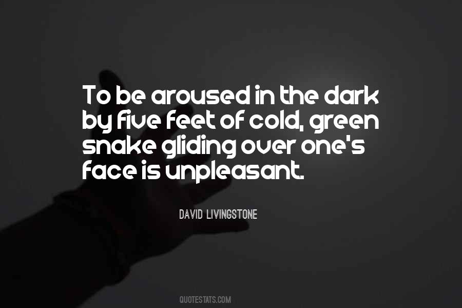 Cold Feet Quotes #1176442