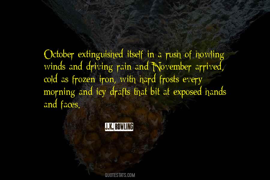 Cold November Rain Quotes #1723507