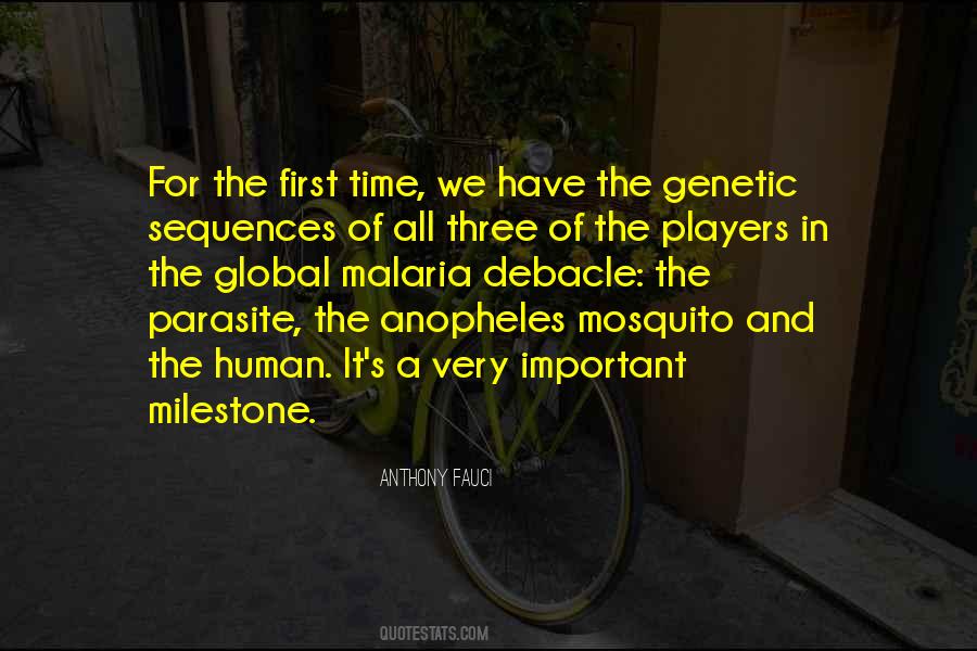 Anopheles Mosquito Quotes #990143