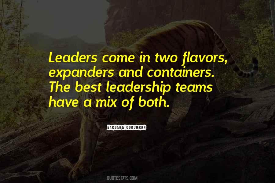 Leadership Team Quotes #1050660
