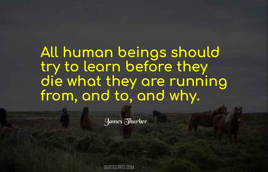 Eixo Ox Quotes #1351242