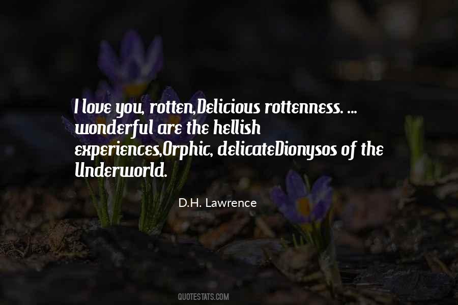 Colibri Quotes #841175